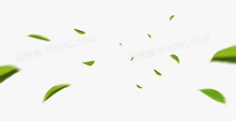 绿色树叶叶子漂浮植物