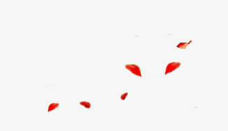 红色运动花瓣漂浮飘落