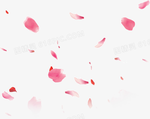 粉色漂浮花瓣装饰设计