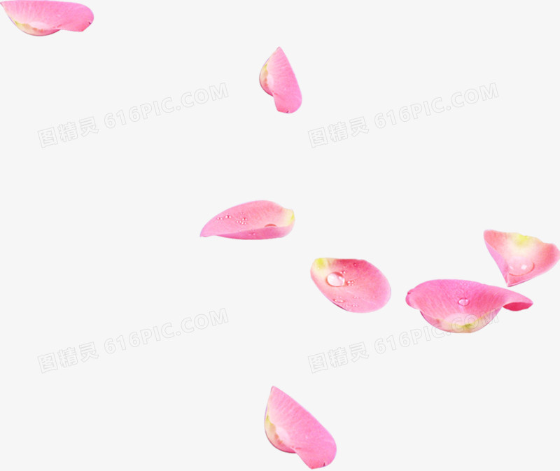 水珠飘舞粉色花瓣