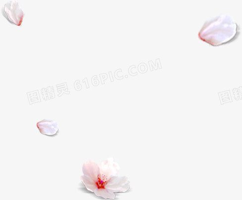 粉色花瓣简单边框