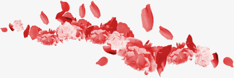 中秋节粉红色花瓣