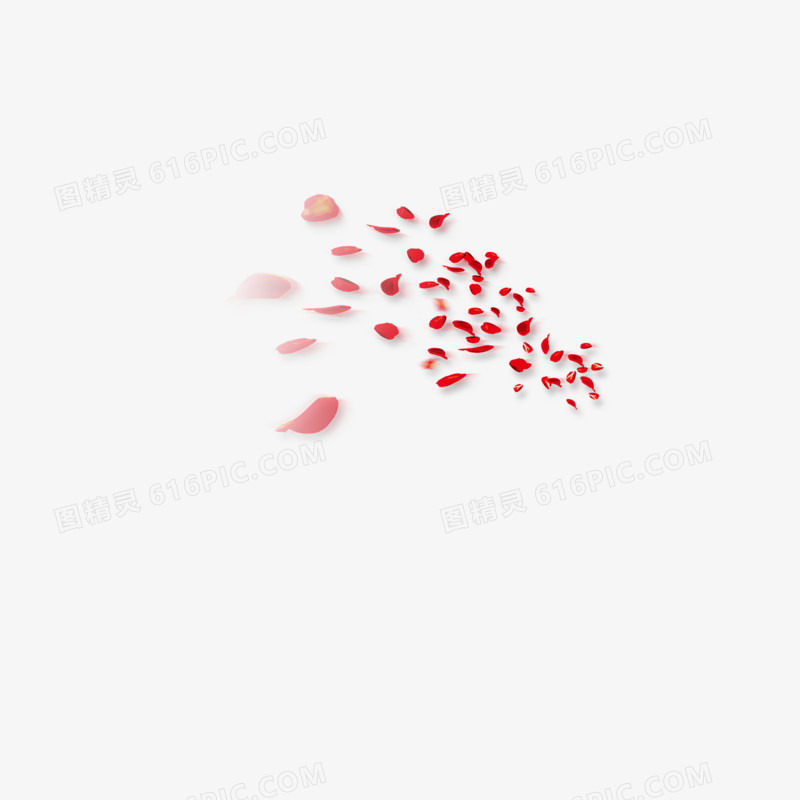 花瓣