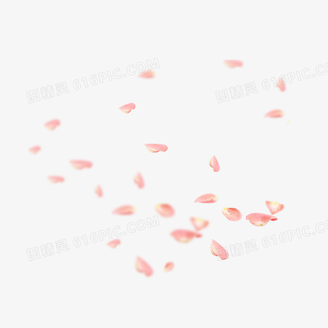 粉红花瓣漂浮