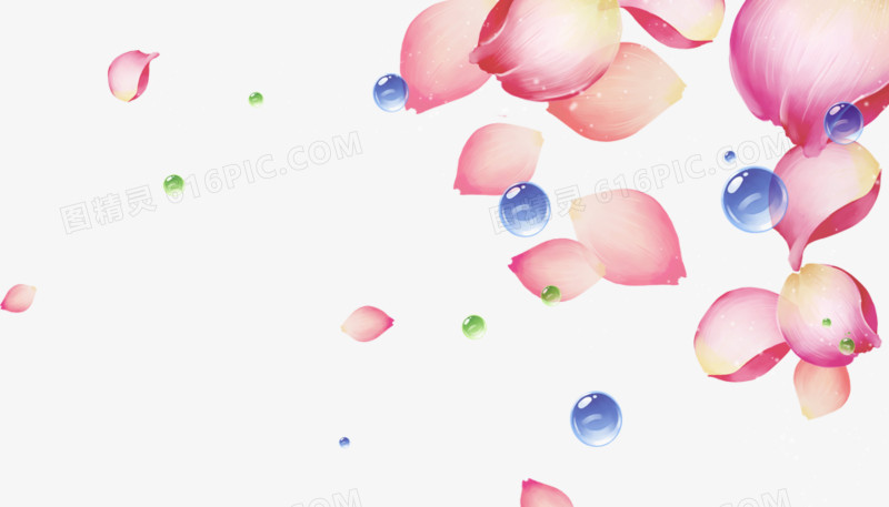 中秋节粉色花瓣水珠