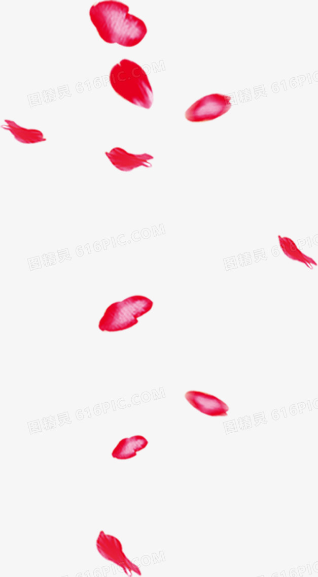 红色节日花瓣漂浮