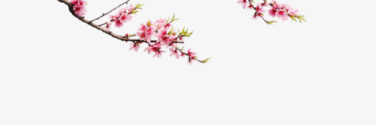 粉红桃花