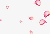 中秋节红粉色漂浮花朵