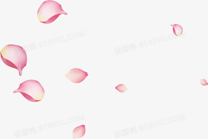 粉色漂浮玫瑰花瓣