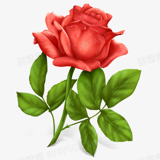 手绘一朵带刺的玫瑰