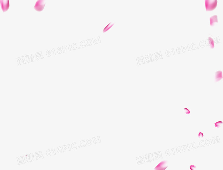粉色玫瑰花瓣飞舞