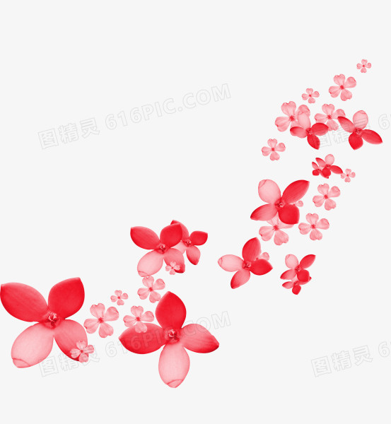 红色花瓣四瓣花朵