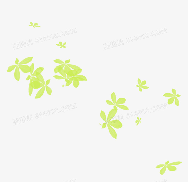 橙色小花朵花瓣