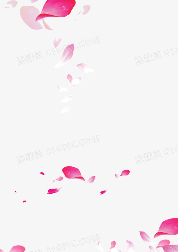 散落飞舞花瓣