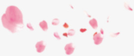 浪漫情人节粉色花瓣
