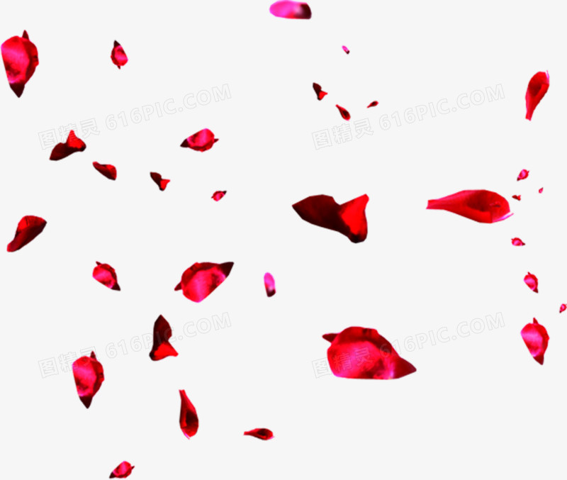 红色鲜花花瓣飞舞漂浮