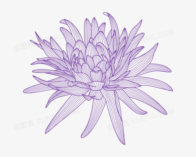 绽放的紫色花卉免抠矢量装饰元素