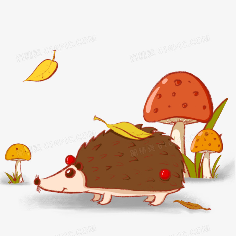 秋天觅食的小刺猬手绘插画元素
