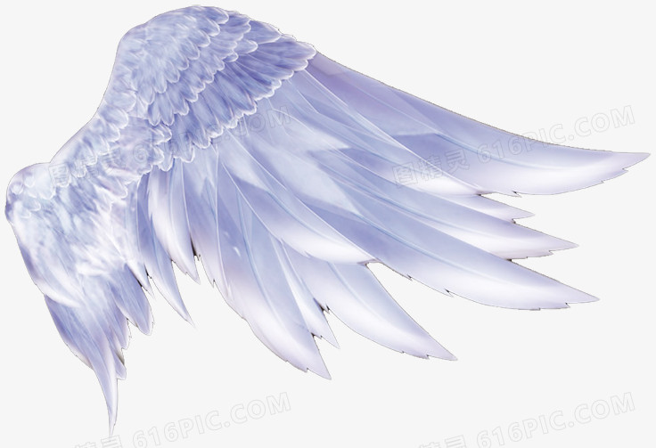 天使的翅膀图片免费下载_png素材_编号1xril0w01_图