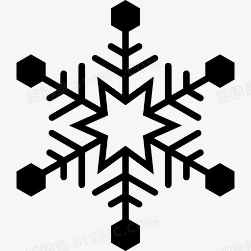 Snowflake 图标