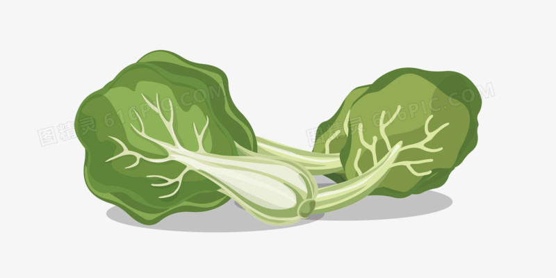蔬菜白菜卡通手绘元素