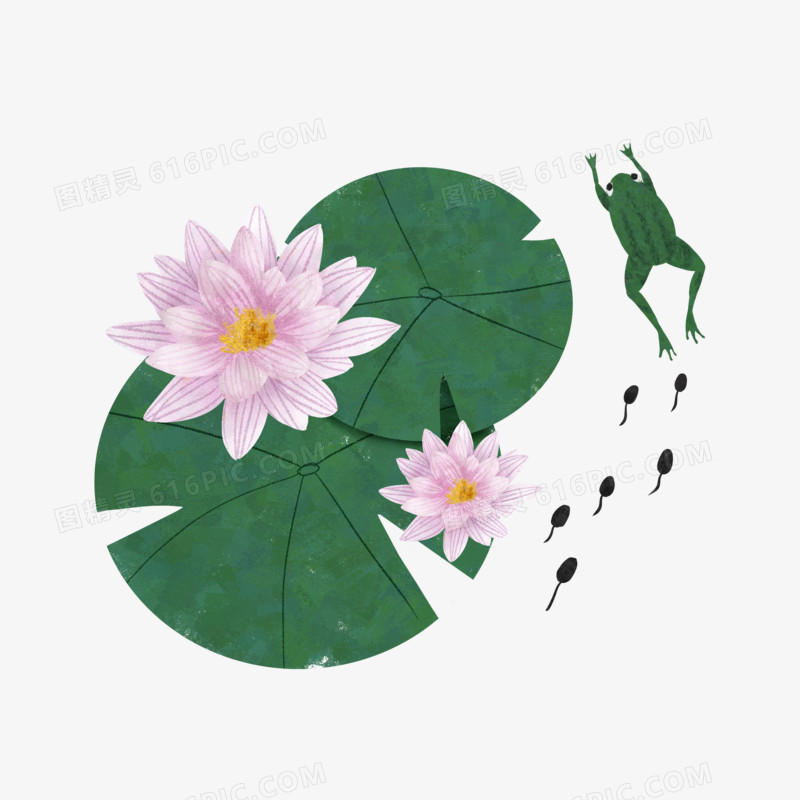 手绘插画风蝌蚪与青蛙免抠元素