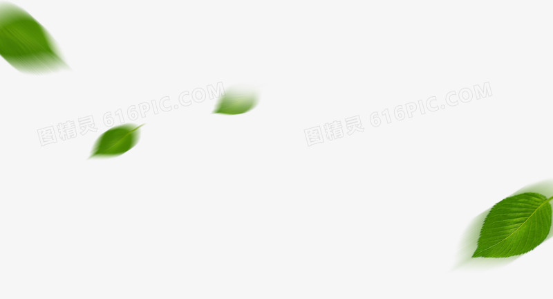 绿叶漂浮