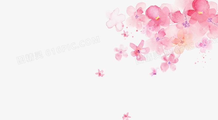 樱花  花瓣