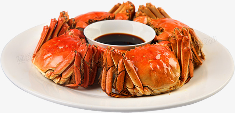 关键词:大闸蟹螃蟹盘子美食食物图精灵为您提供大闸蟹免费下载,本设计
