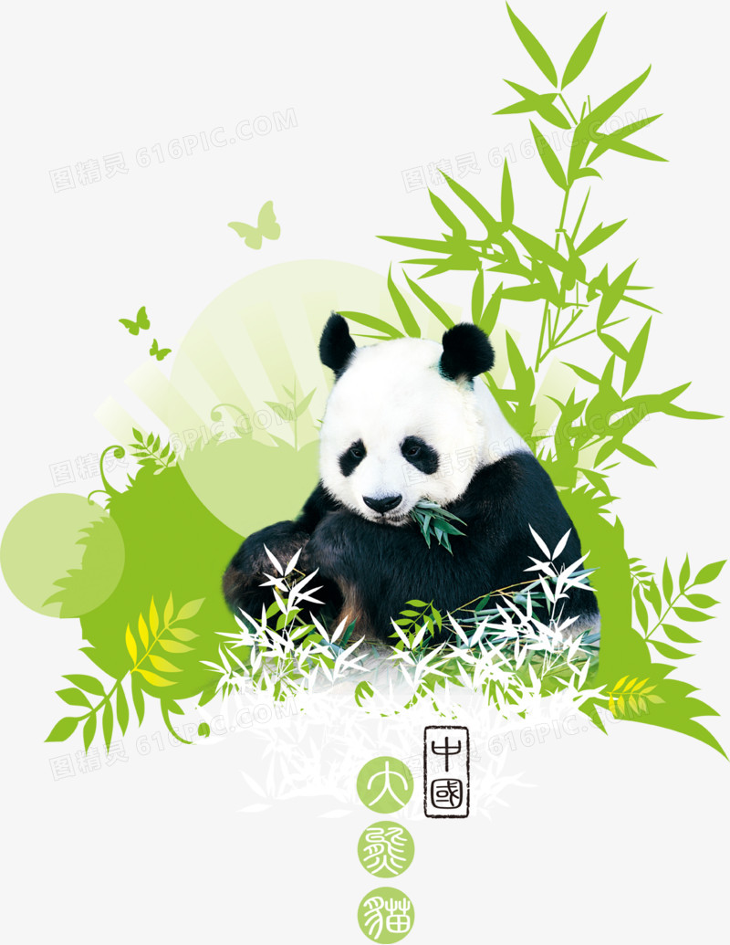 中国大熊猫