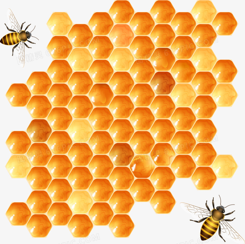 蜜蜂蜂巢设计矢量素材