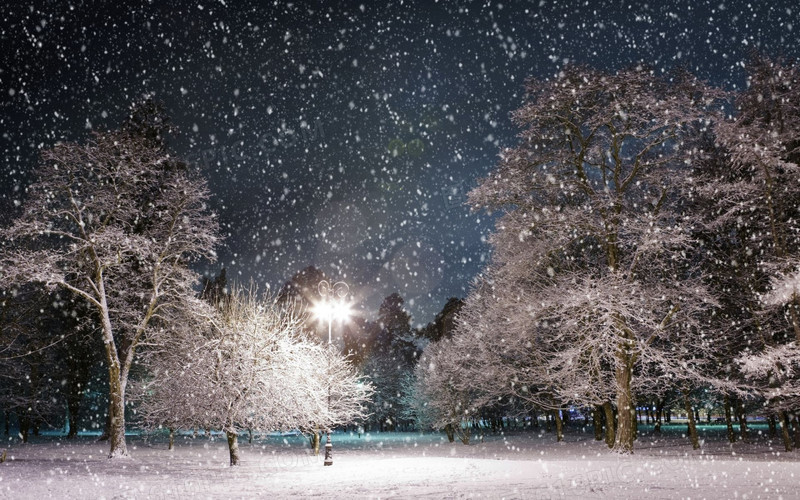 创意合成效果雪地环境渲染