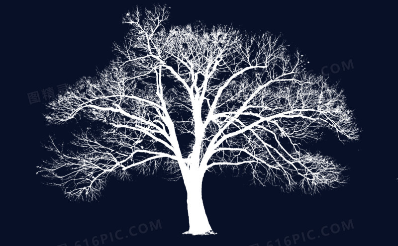 树枝冬季雪景素材背景