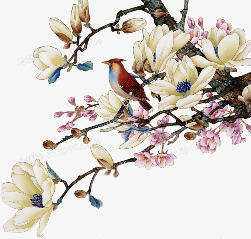 手绘中国风花朵小鸟装饰