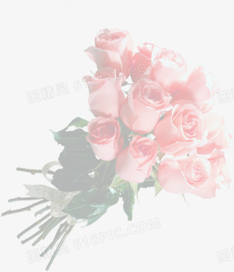 粉色玫瑰花束背景七夕情人节