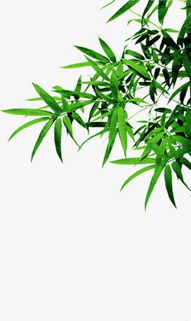 绿色竹叶清新端午装饰