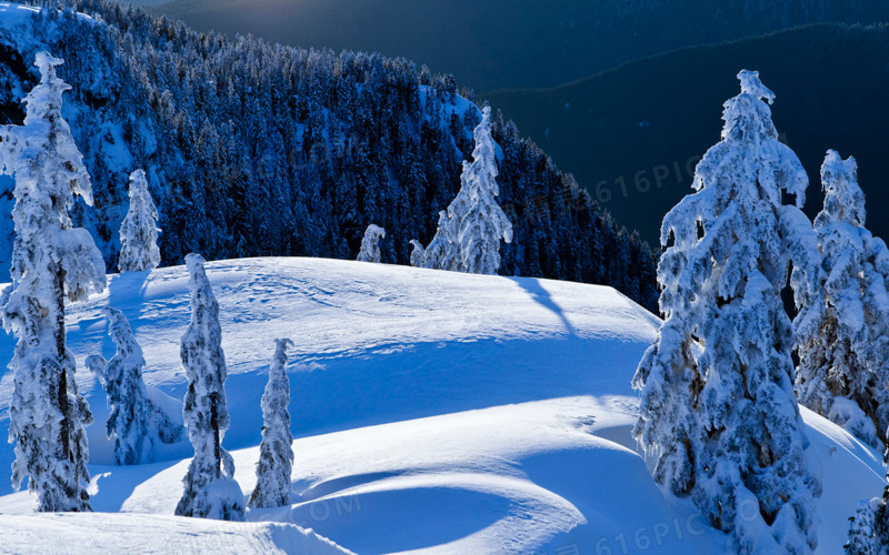 蓝色梦幻雪地风景