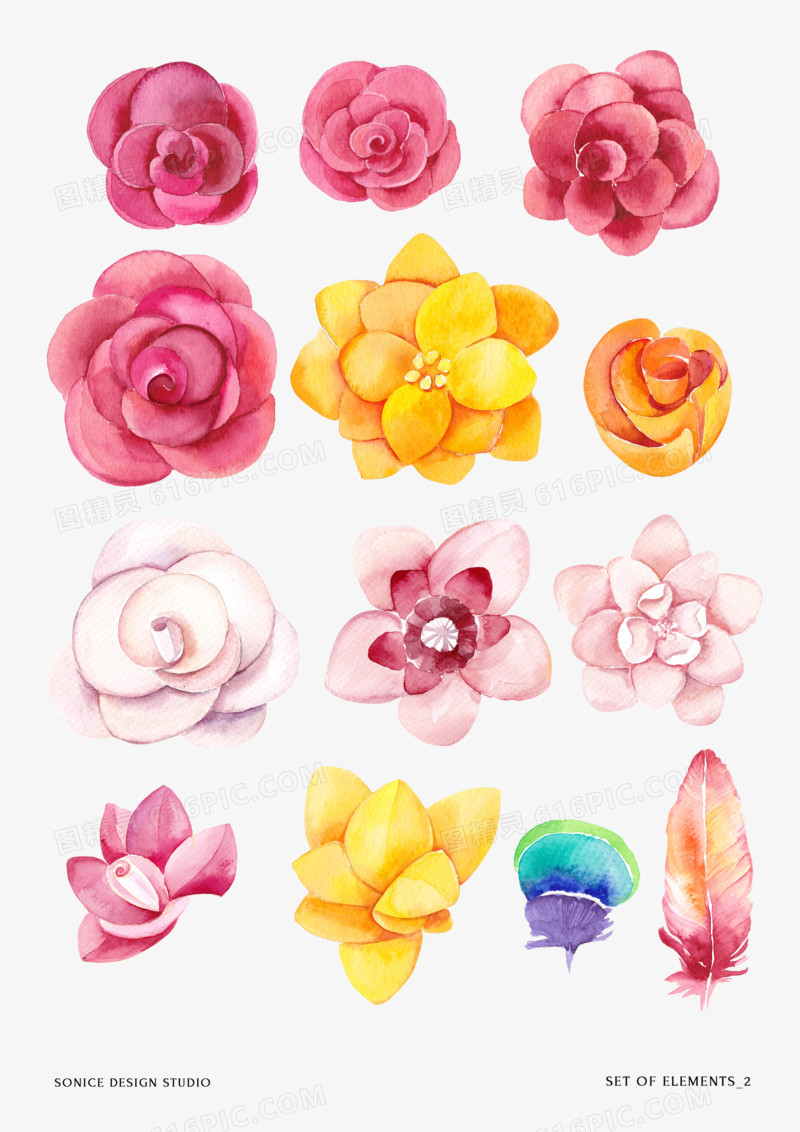水彩花卉素材创意花卉图片 各种花朵