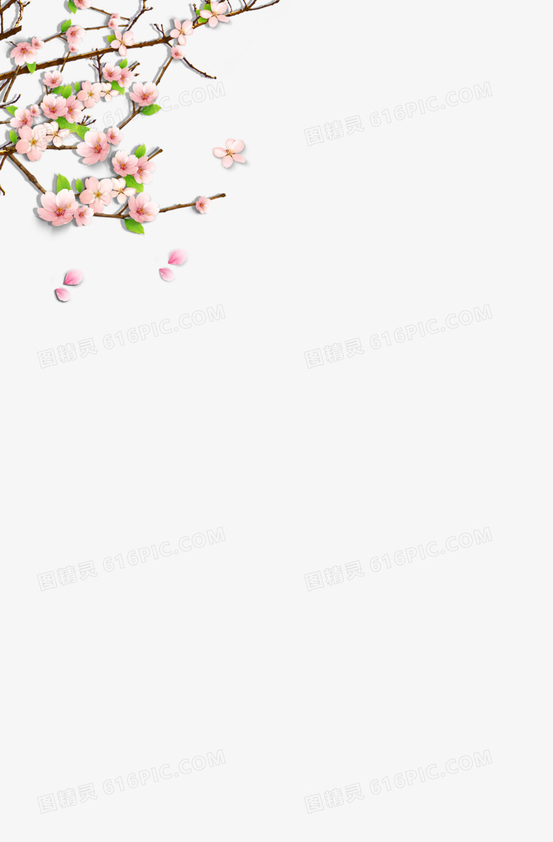 梅花，粉红，中国风，花朵
