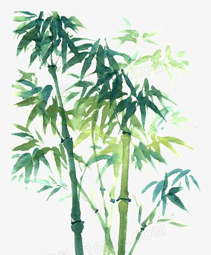 关键词:水彩竹子创意竹子中国风中国画竹林图精灵为您提供竹子免费