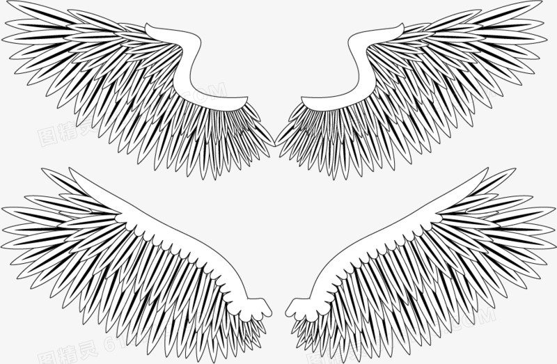 翅膀元素矢量图