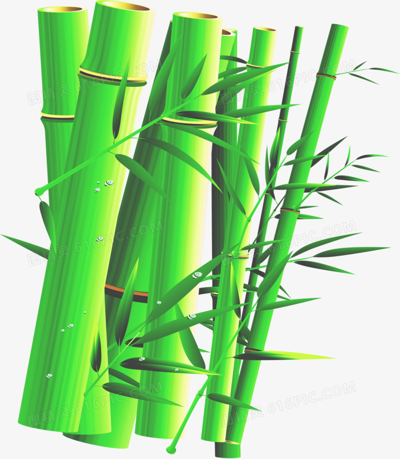 夏日绿色竹子素材