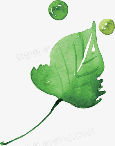 绿色水珠树叶手绘