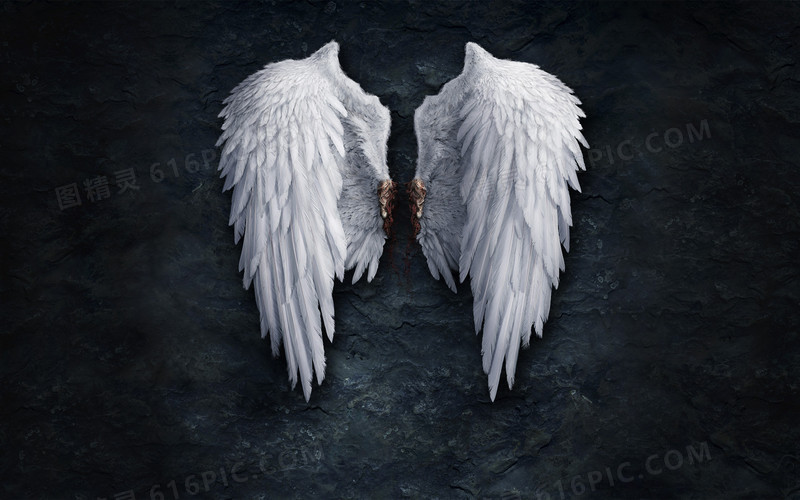 黑暗里的天使翅膀