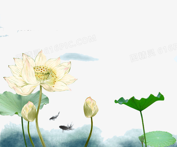 中国风水墨荷花彩绘