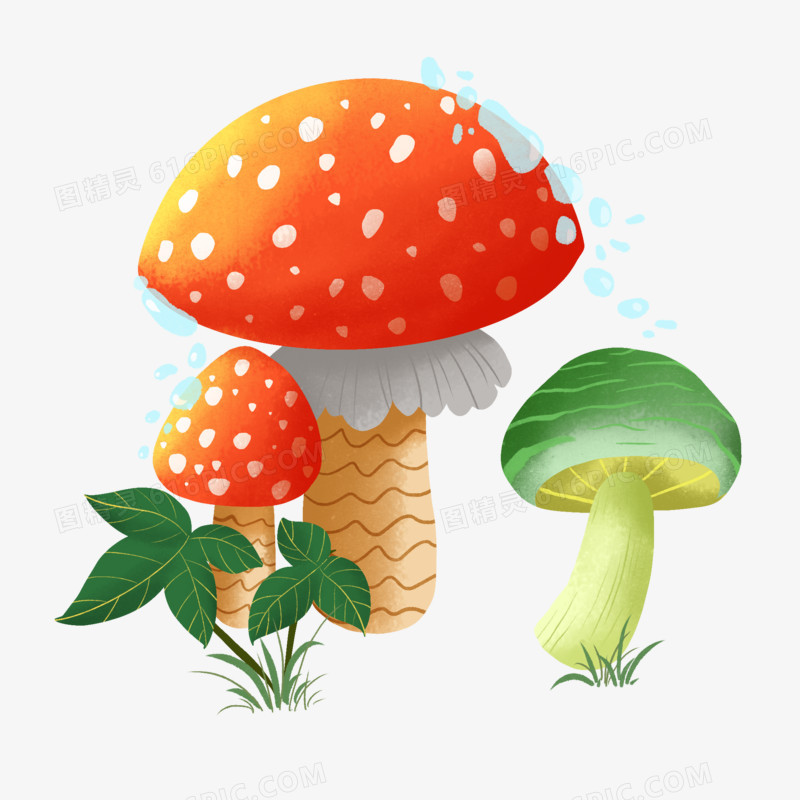 卡通手绘彩色蘑菇免抠 元素