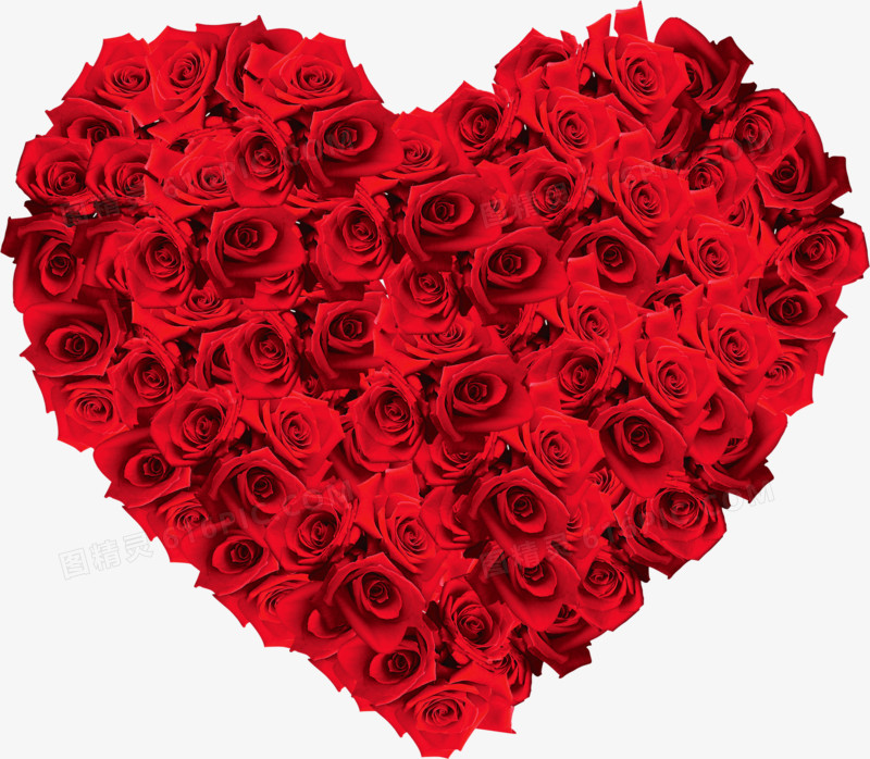 红色鲜花玫瑰爱心造型情人节