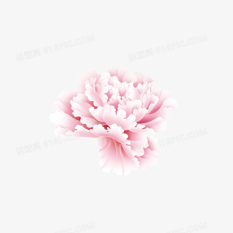 粉色牡丹花中国风花朵