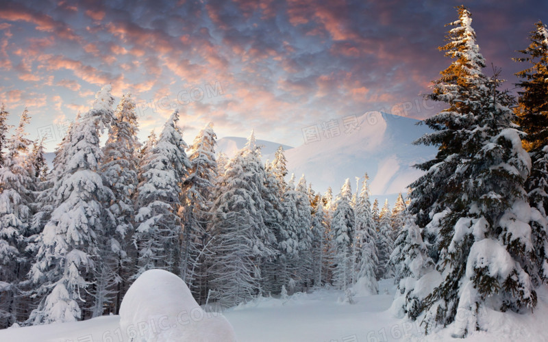 冬季野外景观图片