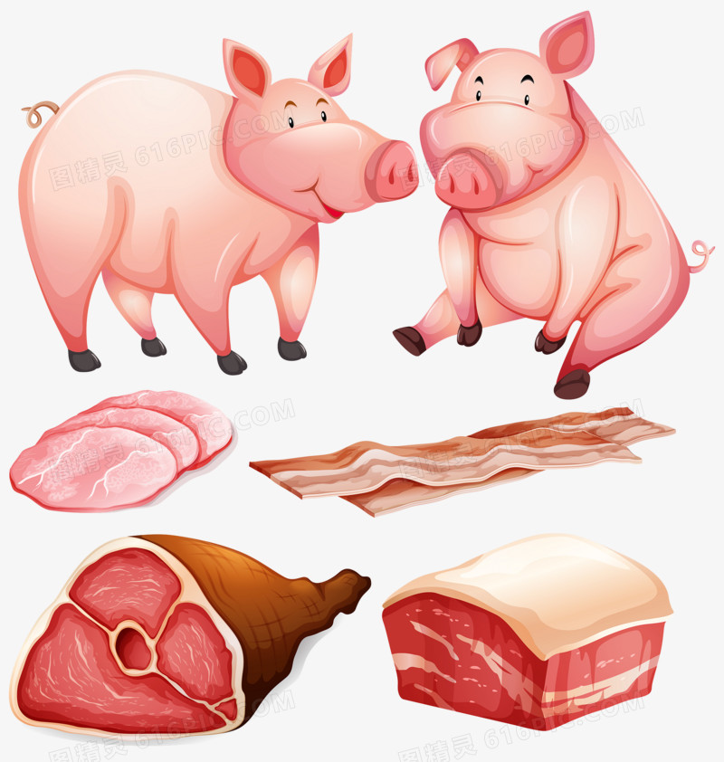卡通猪和猪肉火腿